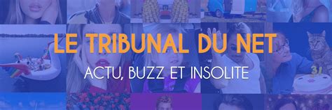 tribunal du net